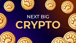 Read more about the article Next Big Crypto: Which Coins are Poised to Take Over the Market?