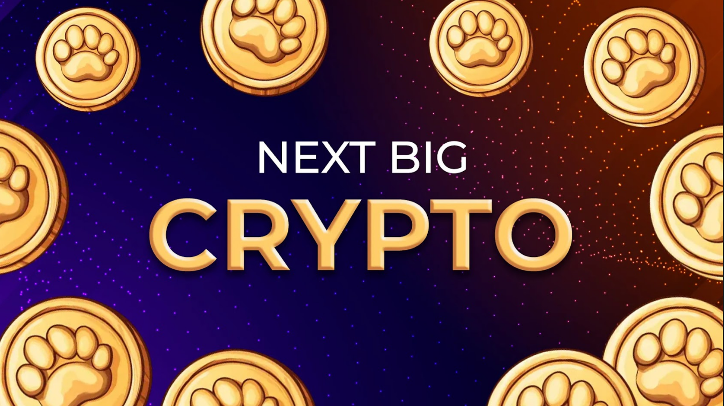 You are currently viewing Next Big Crypto: Which Coins are Poised to Take Over the Market?