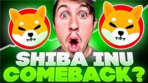 Read more about the article $SHIB Climbs 10% as Investors Back MIND of Pepe’s $7.6 Million Presale