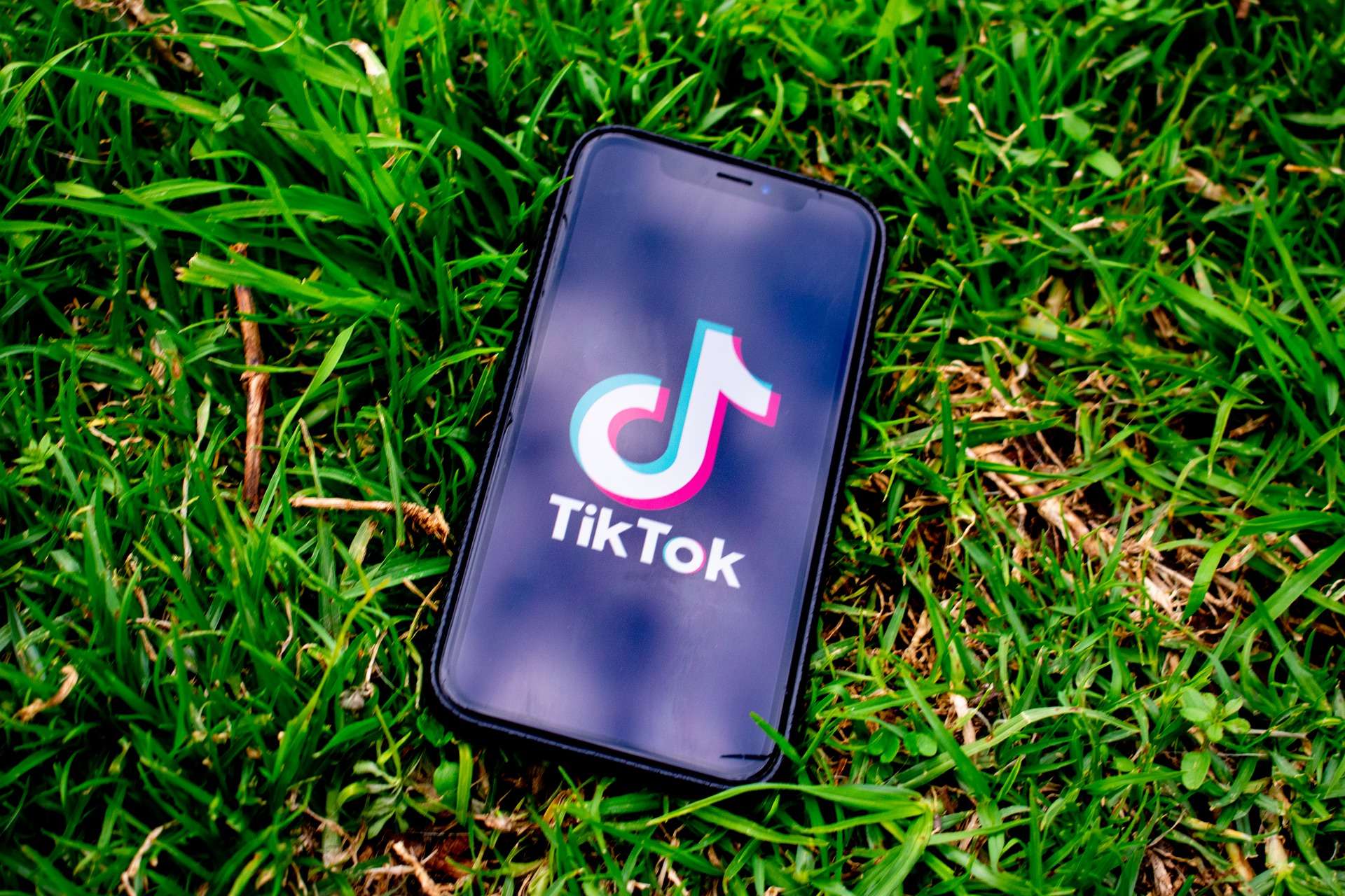 You are currently viewing Could Reddit’s Alexis Ohanian Bring TikTok ‘On Chain’ with Polygon?