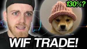 Read more about the article $WIF Struggles to Rebound as Best Wallet Surges Past $11.3 Million in ICO- Is It the Best Crypto to Buy Now?