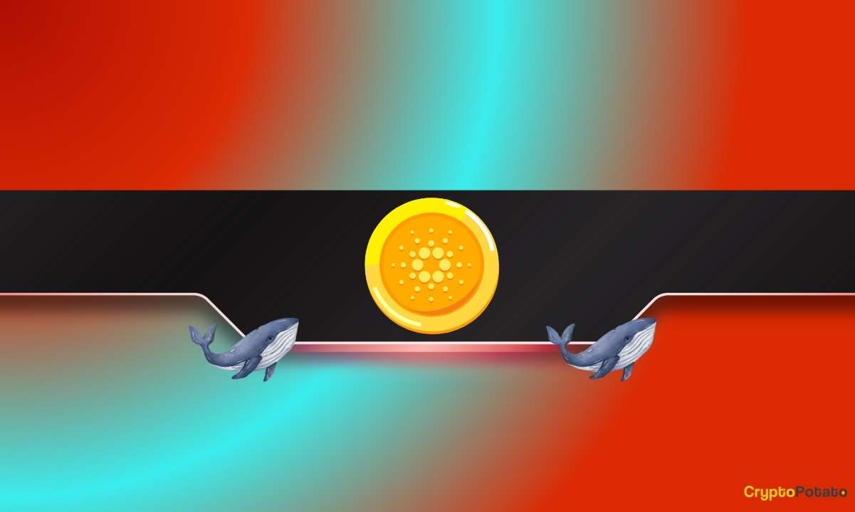You are currently viewing Are Cardano Whales Dumping ADA Due to Charles Hoskinson’s Latest Proposal?