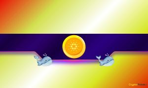 Read more about the article 200,000,000 ADA: Will Cardano’s Price React to the Whales’ Selling Spree?