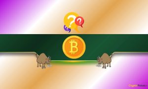 Read more about the article Bitcoin (BTC) Needs to Reclaim These Price Levels to Ignite Next Bull Run (Analyst)