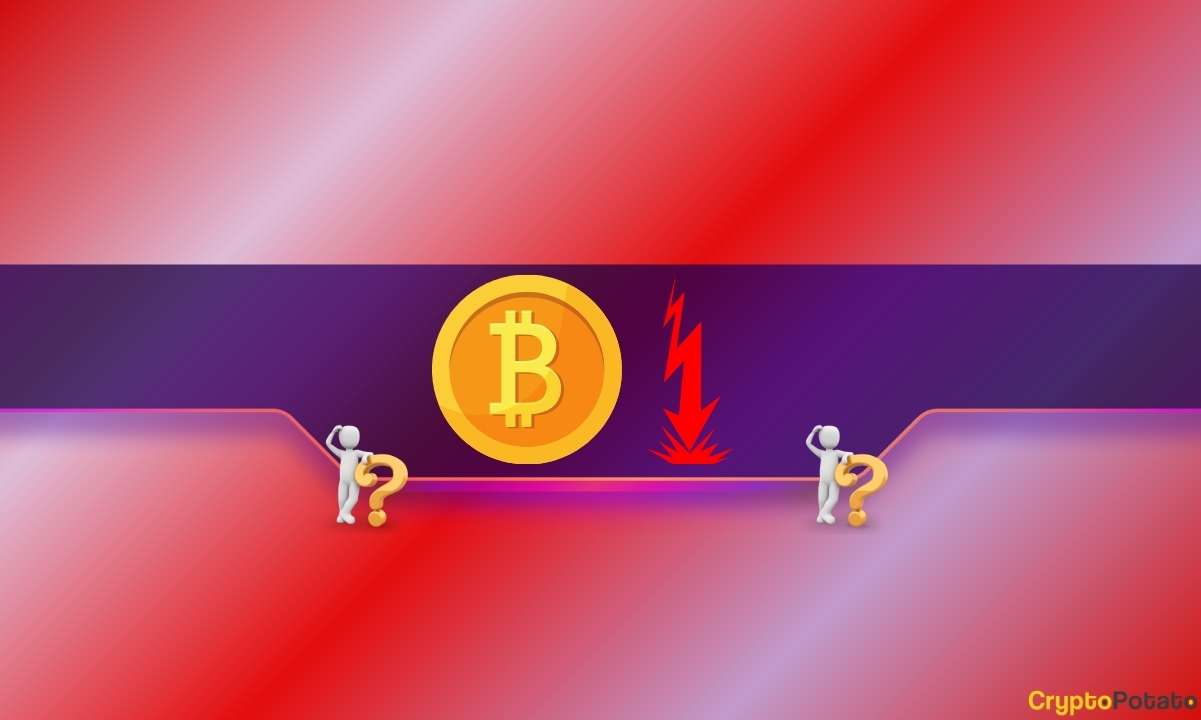 You are currently viewing BTC Gains Near Climax? Peter Brandt Sounds the Alarm