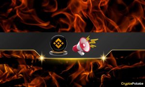 Read more about the article Analyzing the Impact of BNB’s Latest Token Burn on Market Trends