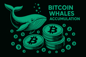 Read more about the article Bitcoin News: Massive Accumulation by Long-Term Holders Could Send BTC to $85K
