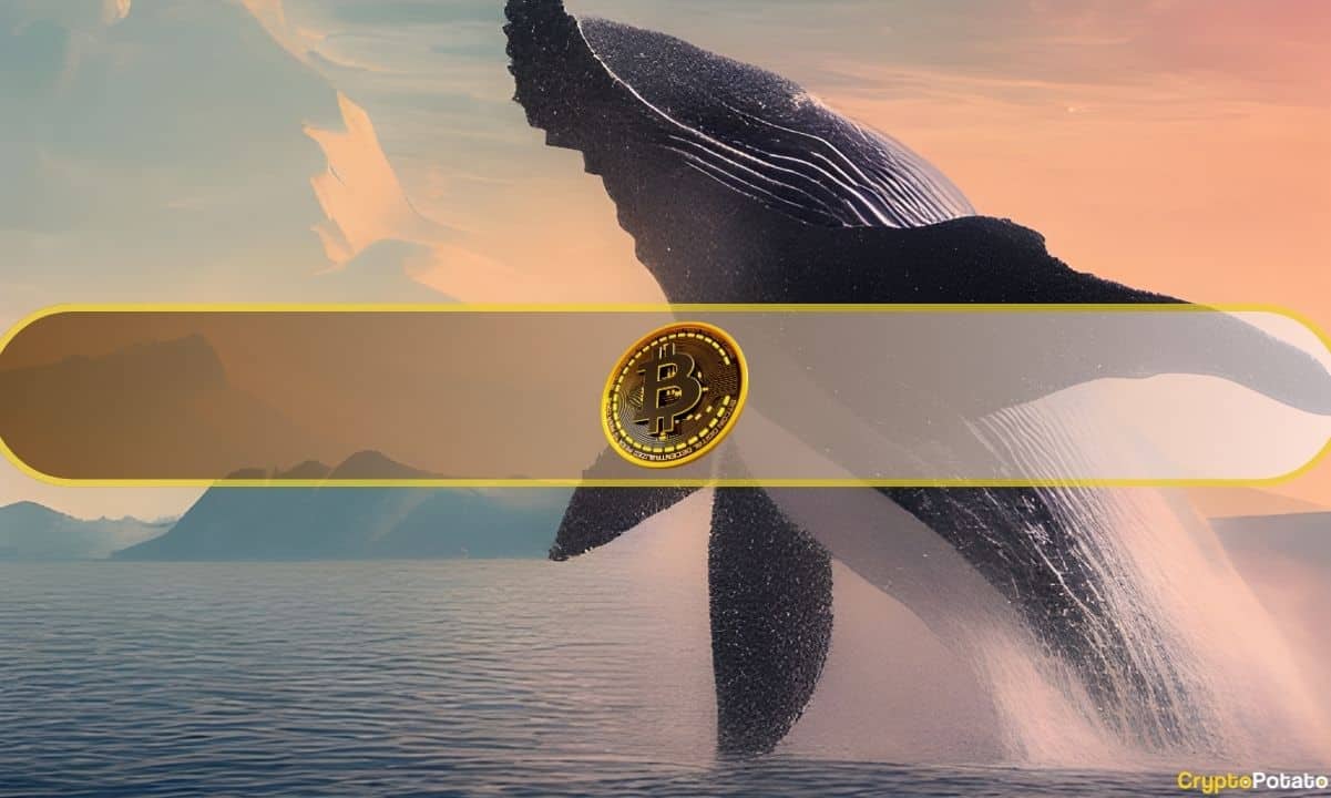 You are currently viewing Retail Traders Keep Bitcoin Floating Above $117K, But One Whale Move Could Change Everything
