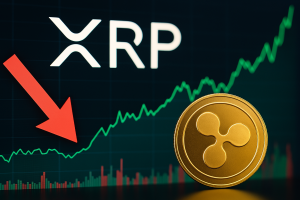 Read more about the article XRP Holders Accumulate as $55M Leaves Exchanges – Time to Buy?