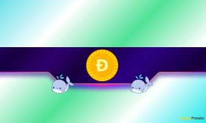 Read more about the article DOGE Price Moves as Dogecoin Whales Go on Buying Spree