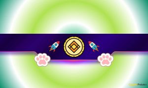 Read more about the article Cat-Themed Meme Coin Soars After Binance Boost – Here’s What Happened