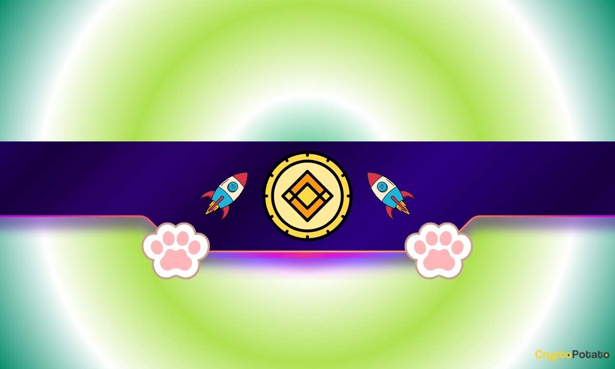 You are currently viewing Cat-Themed Meme Coin Soars After Binance Boost – Here’s What Happened