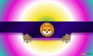 Read more about the article 3 Reasons a Shiba Inu (SHIB) Rally May Be Closer Than You Think