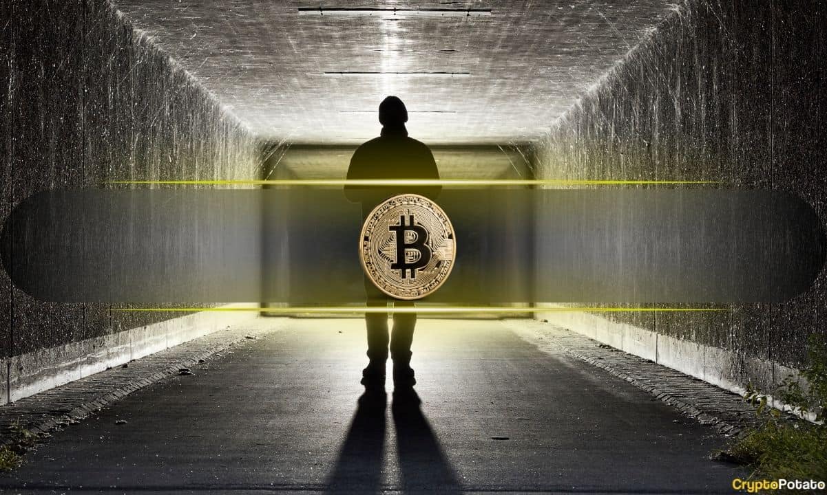 You are currently viewing Crypto Lawyer Sues Homeland Security Over Satoshi Nakamoto Mystery
