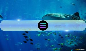 Read more about the article Solana Whales Dump SOL Amid Major Token Unlock 