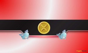 Read more about the article $800M XRP Sell-Off: Are Ripple Whales Signaling a Major Market Shift?