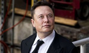 Read more about the article Free Trade Zone Between Europe and North America: Elon Musk Swipes at Trump’s Tariff Guy