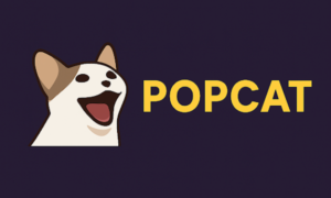 Read more about the article Popcat Price Prediction After 50% Rally In 24 Hours: Time To Buy Meme Coins?