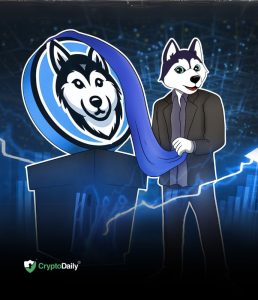 Read more about the article Husky Inu Sets Launch Date For Highly Anticipated HINU Token