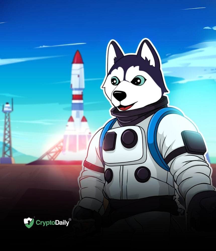 You are currently viewing The Husky Inu Pre-Launch Phase Begins