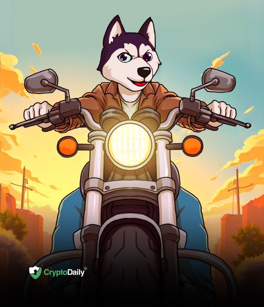 You are currently viewing How Does The Husky Inu (HINU) Pre-Launch Phase Work?