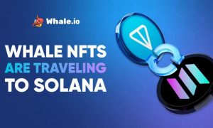 Read more about the article Whale NFT Bridge Goes Live: TON to Solana Migration Launches on Bridgemedaddy.com