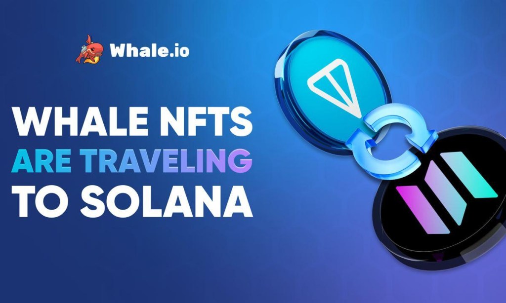 You are currently viewing Whale NFT Bridge Goes Live: TON to Solana Migration Launches on Bridgemedaddy.com