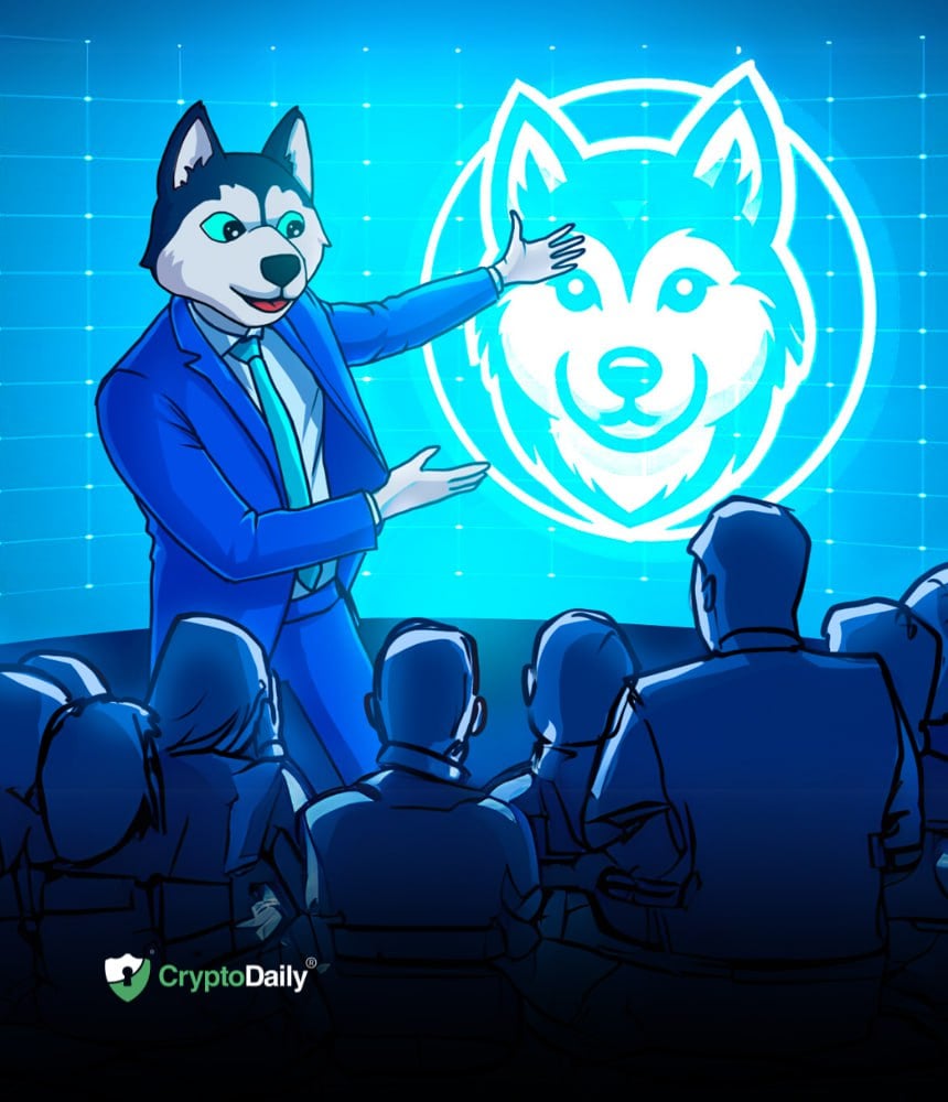 You are currently viewing Husky Inu Roadmap: What Lies Ahead For The Fledgling Meme Coin Project