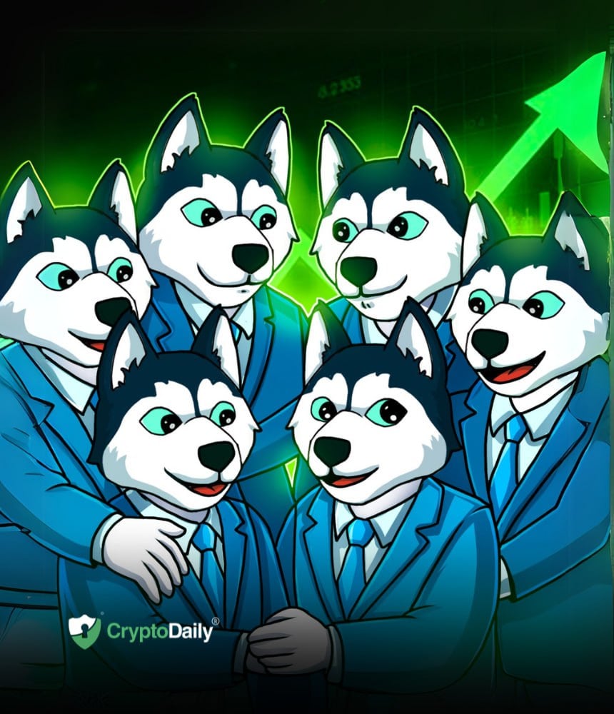 You are currently viewing Husky Inu’s (HINU) Latest Price Jump And Meme Coin Outlook