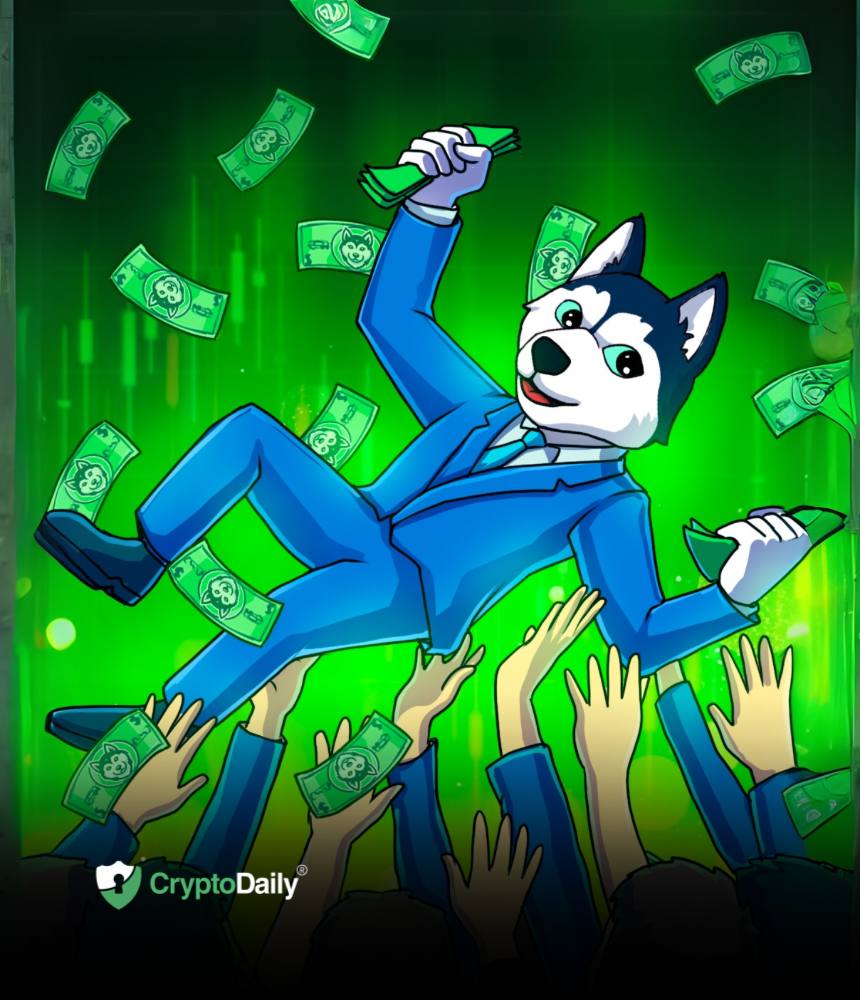 You are currently viewing Tracking Husky Inu’s Key Milestones And Developments