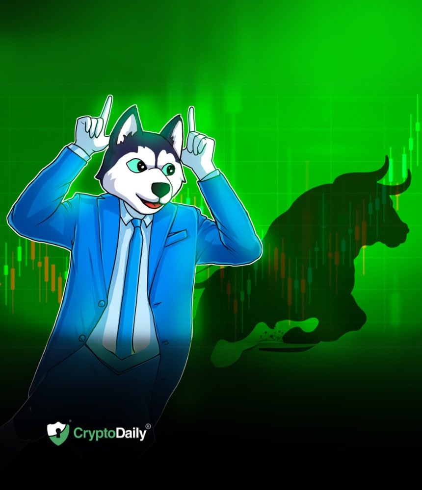 You are currently viewing Husky Inu Set For Price Jump As Crypto Market Rallies