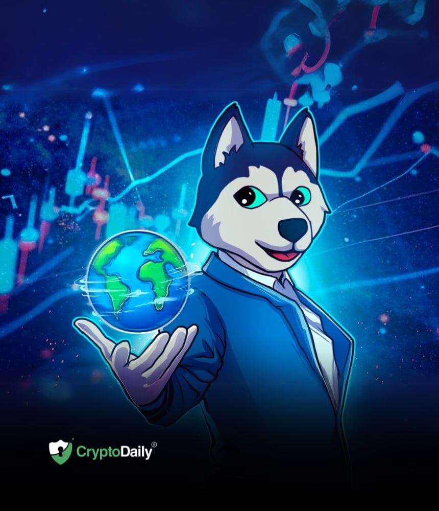 You are currently viewing Husky Inu Records Price Jump, Rises To $0.00016927
