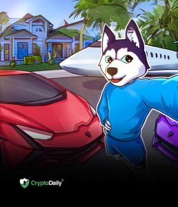 Read more about the article How To Purchase The Husky Inu (HINU) Token