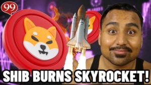 Read more about the article Shiba Inu Price Prediction as Burn Rate Surges Over 12,000% Amid Market Downturn