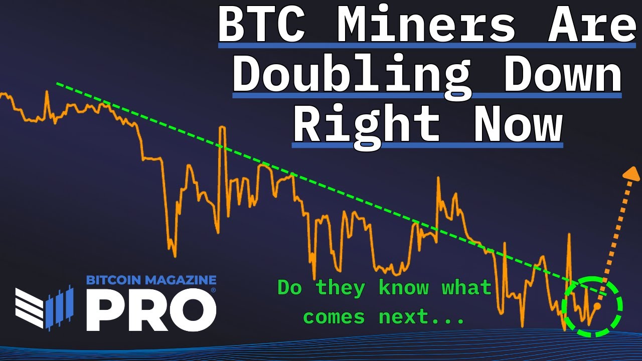 Read more about the article Bitcoin Miners Are Doubling Down