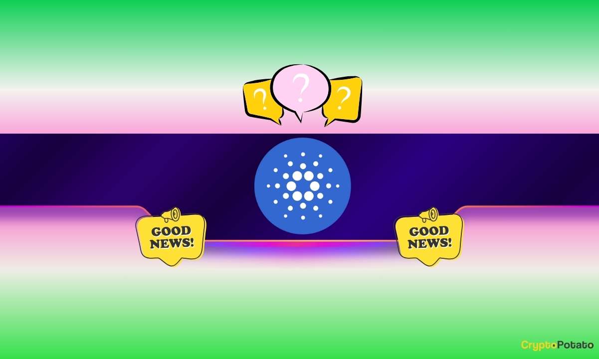 You are currently viewing Cardano ETF Update: Why May 29 Matters for ADA Holders