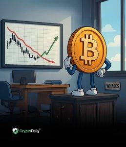 Read more about the article Bitcoin (BTC): Next Upside Surge or Continued Rollover? Market Outlook