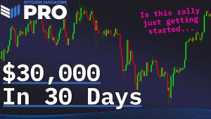 Read more about the article Bitcoin Price Surges $30,000 in 30 Days! What’s Next?