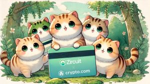 Read more about the article Zircuit Enables Non-Custodial Wallet Top-Ups for Crypto.com Visa Cards