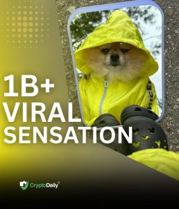 Read more about the article Meet KORI: The Viral 1-Billion-View Dog Fueling the Next Big Meme Coin on Solana