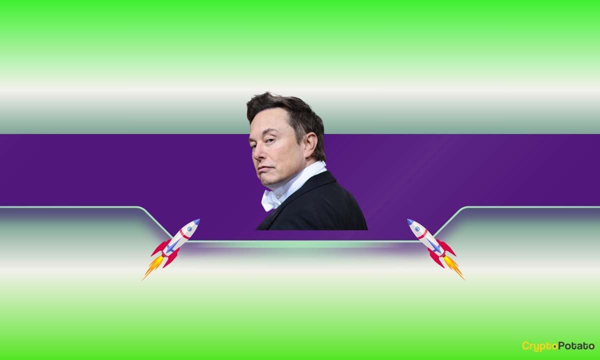 Read more about the article Elon Musk Did It Again: These Meme Coins Skyrocketed After His Interaction on X