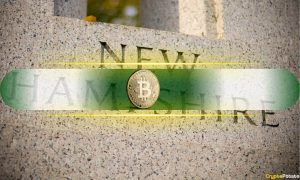 Read more about the article New Hampshire Becomes First US State to Enact Bitcoin Reserve Bill