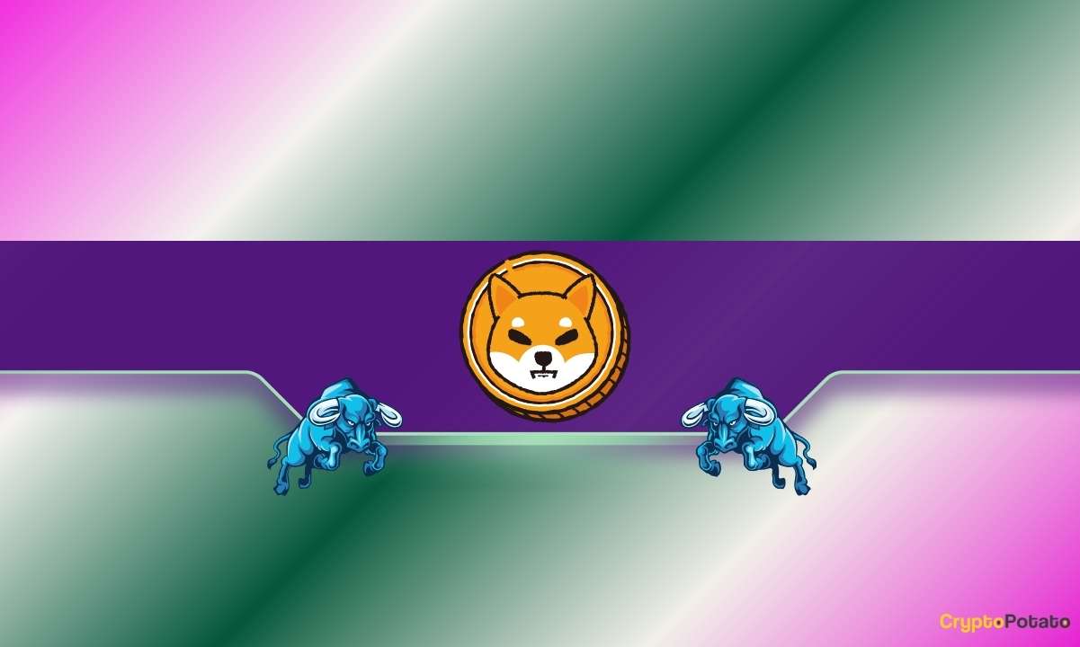 Read more about the article 3 Reasons Why Shiba Inu (SHIB) Could be on the Verge of a Price Rally