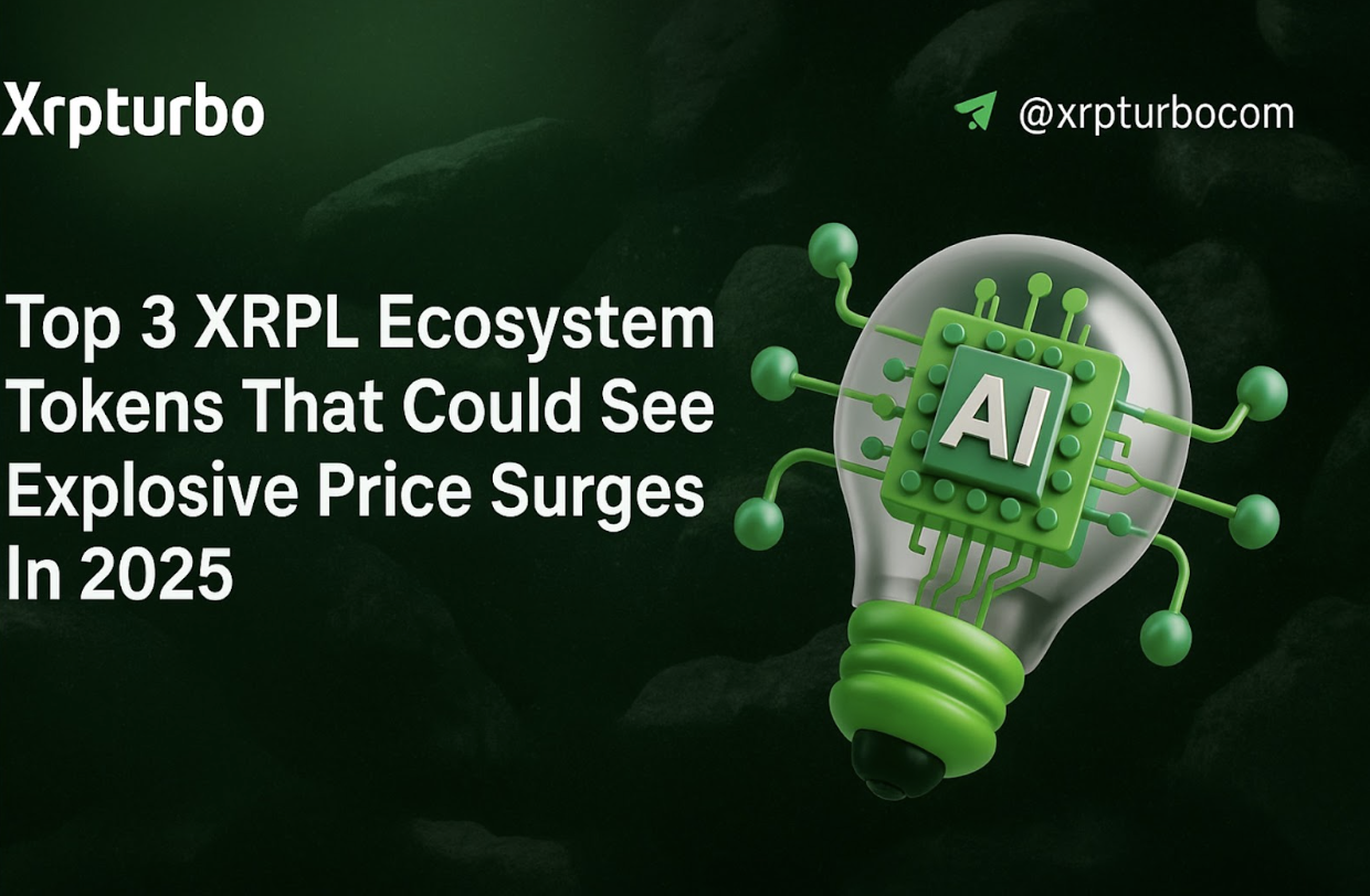 Read more about the article XRP News: Top 3 XRPL Ecosystem Tokens That Could See Explosive Price Growth In 2025 – XRPTurbo (XRT), XRPHealthcare (XRPH) & Phoenix (PHNIX)
