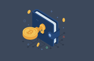 Read more about the article Understanding the Crypto Wallet: A Guide to Securing Your Digital Assets