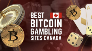 Read more about the article 10 Best Bitcoin Gambling Sites Canada – Where to Gamble With BTC in 2025