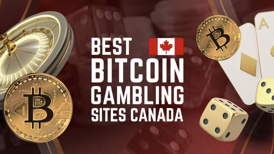 You are currently viewing 10 Best Bitcoin Gambling Sites Canada – Where to Gamble With BTC in 2025
