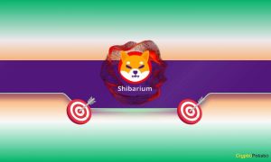 Read more about the article 200,000,000: Shiba Inu’s Shibarium Blasts Through Another Key Milestone