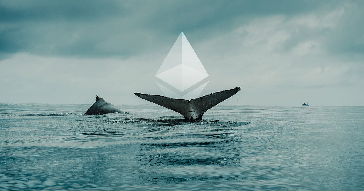 You are currently viewing Popular Whale Loses Big Trading ETH and SUI This Week