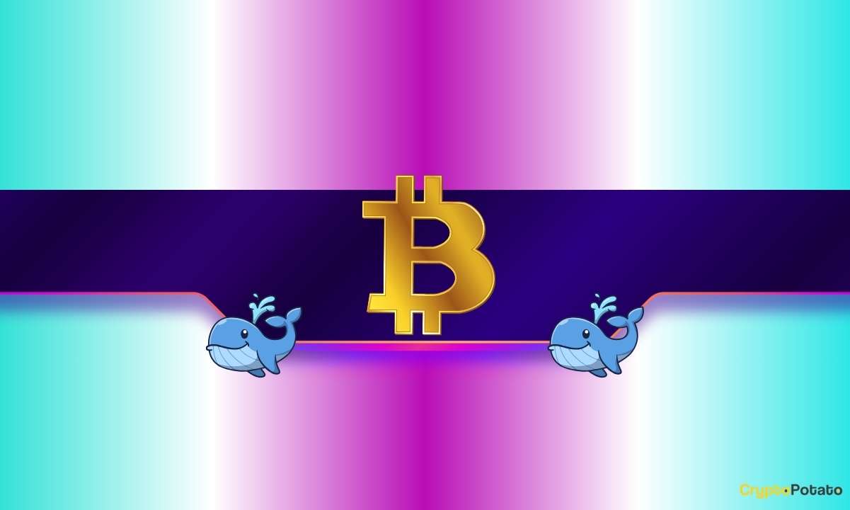 You are currently viewing 20,000 BTC Purchased in Just 2 Days by Whales: How Will Bitcoin’s Price React?